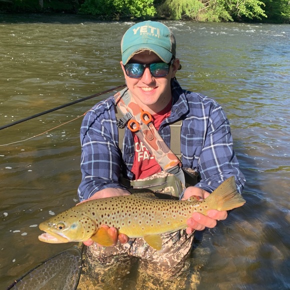 Meet your Posher, Ethan - Picture 1 of 1